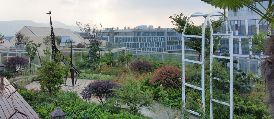 南京萬通城市建設(shè)設(shè)計(jì)院弱電系統(tǒng)項(xiàng)目案例。